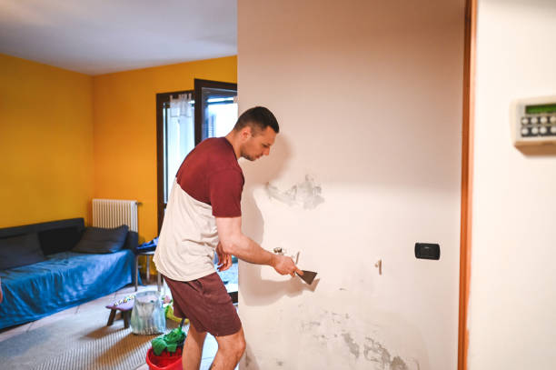 Best Mold Removal Near Me  in Dasher, GA